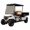 Utility golf carts buggy with cargo box EG204EHCX