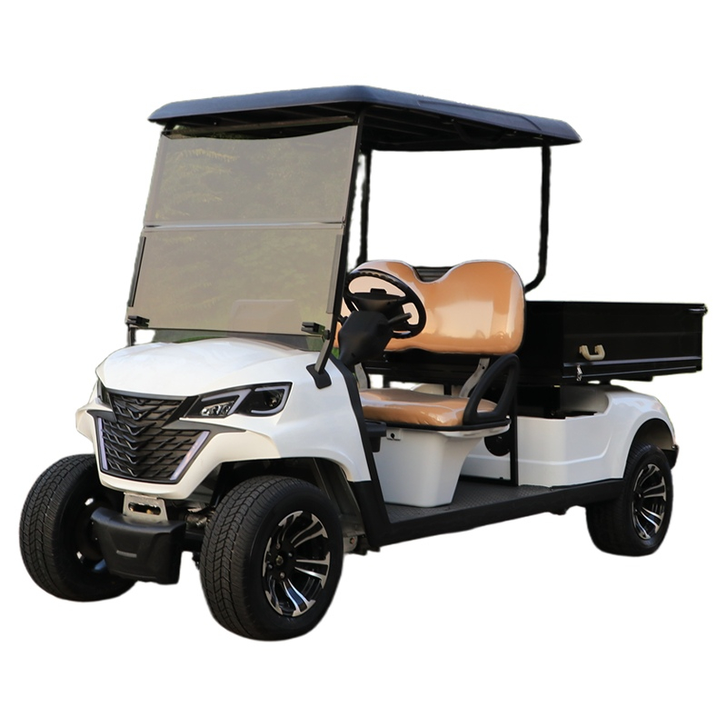 Utility golf carts buggy with cargo box EG204EHCX