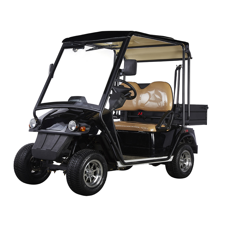 Custom Mimi Electric Golf Cart Buggy Off Road With Box - 2028HR