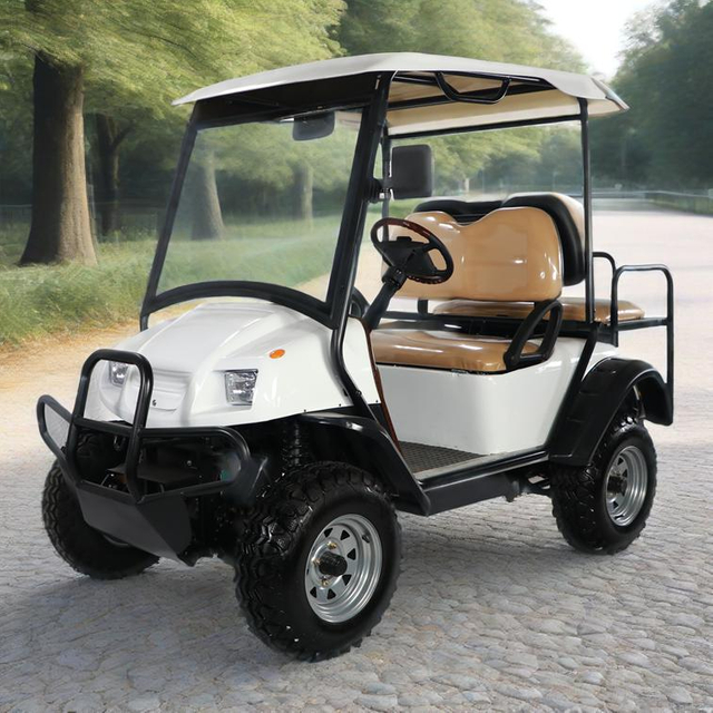 Electric Lithium Durable Off-road Golf Cart Manufacturer - 2048HSZR