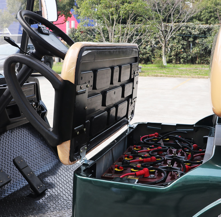 Custom Wholesale Lithium Electric Off Road Golf Cart