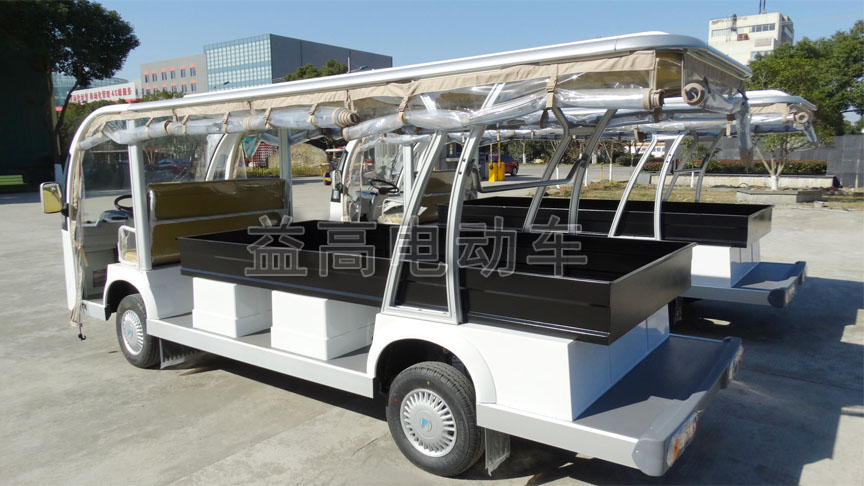 electric sightseeing mini bus