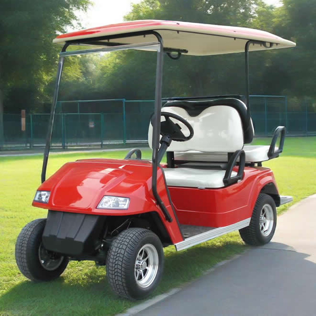 Custom Mini Electric Golf Cart Golf Buggy Carts for Sale