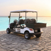 48v 4 seater golf cart with cargo box