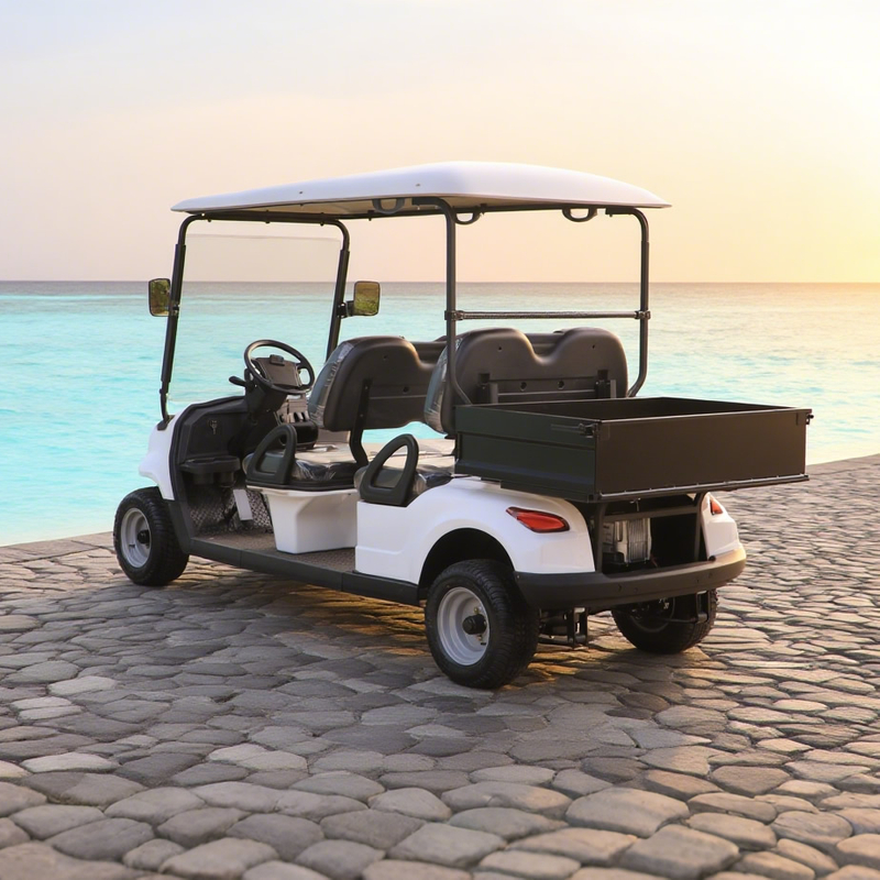 48v 4 seater golf cart with cargo box