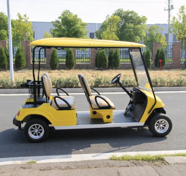 Custom High Quality Color Electric Lithium Battery Golf Cart for Sale - EG2048K