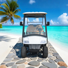 Import Wholesale 6 Seater Person Golf Carts - Eagle Golf Cart