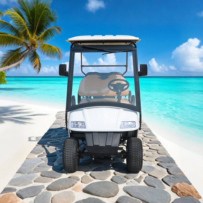 Import Wholesale 6 Seater Person Golf Carts - Eagle Golf Cart