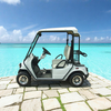 Custom Electric Street Legal Golf Carts Buggy