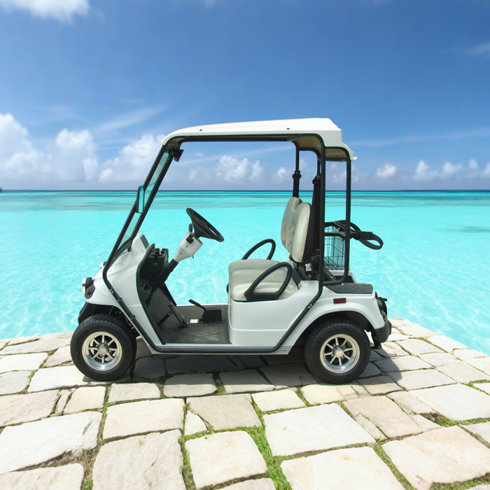 Custom Electric Street Legal Golf Carts Buggy
