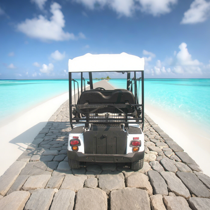 Custom Street Legal Electric Golf Cart