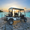 Street Legal Electric Golf Cart