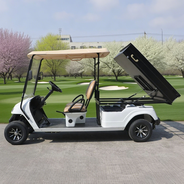 Golf Cart with Cargo Dump Bed - EG2048HCX