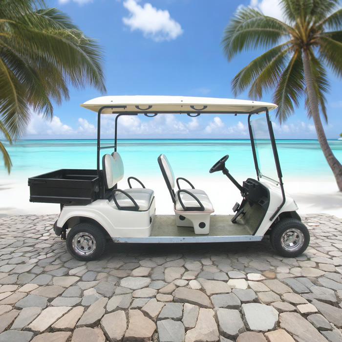 Wholesale Golf Cart 4 Seater with Box