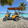 Luxury lifted utility 2+2 4 person seater golf cart