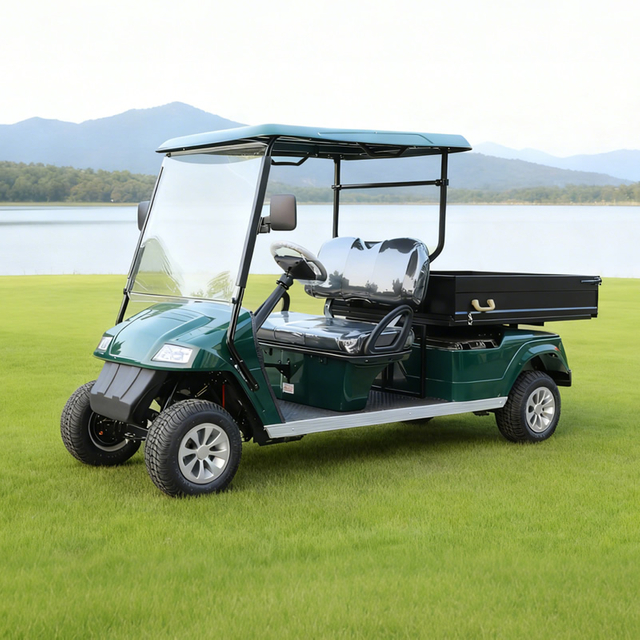 Custom Manufacturer Company Golf Cart Price with Cargo Dump Bed