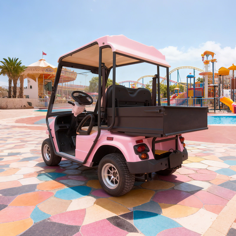 Custom Mimi Electric Golf Cart Buggy Off Road With Box
