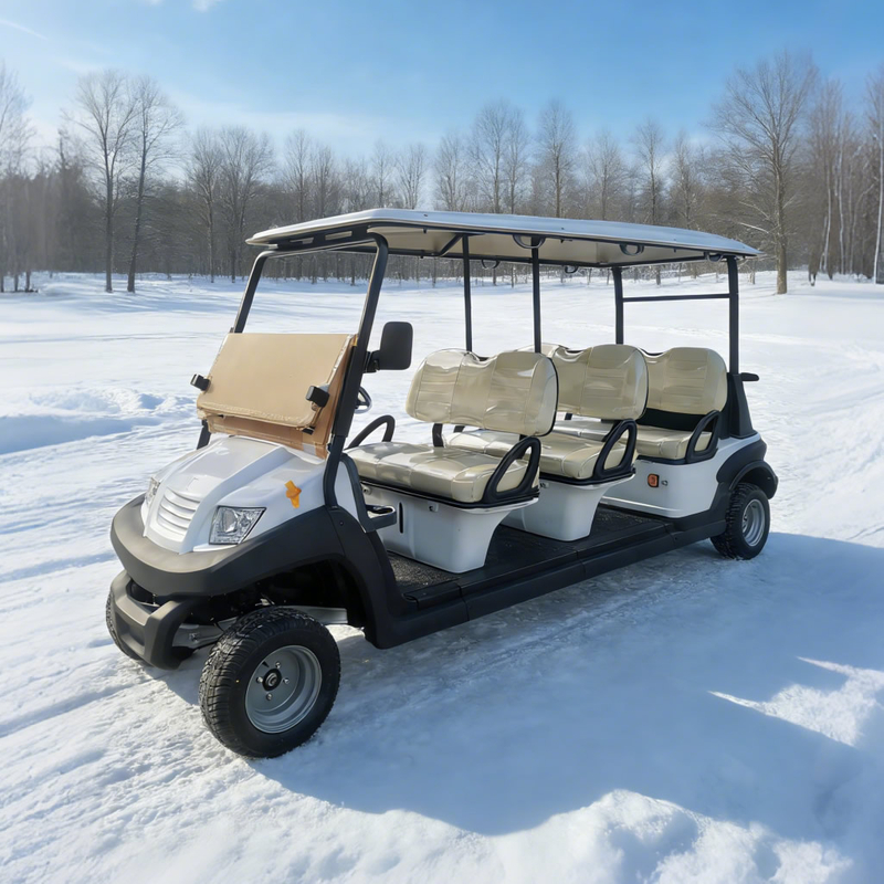 Electric Golf Car Price in Egypt - Eagle Golf Cart