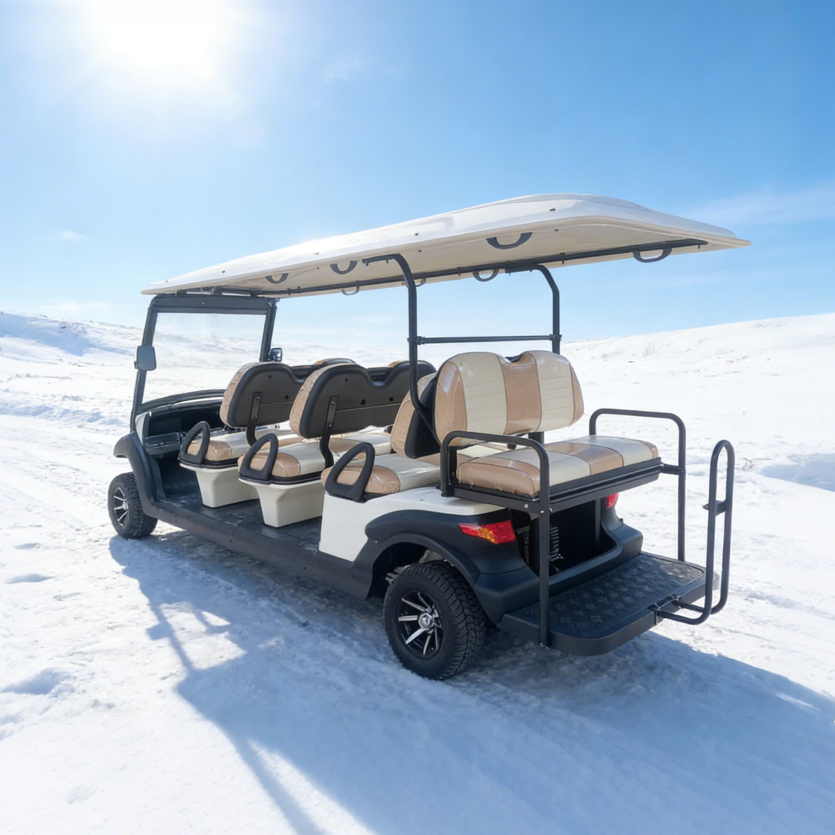 Eight 8 Passenger Person Seater Electric Buggy Golf Carts for Sale - Eagle Golf Cart