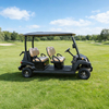Custom Lithium Battery 4 Seater Golf Carts Buggy for Sale - Eagle Golf Cart