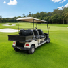 Custom 6-Passenger Electric Shuttle Cart with Rear Cargo Box