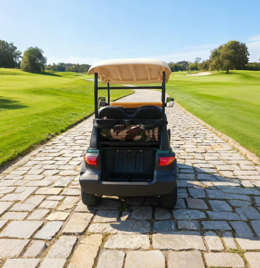 Custom Best 48V Mini Farm Electric Battery Lithium Golf Cart