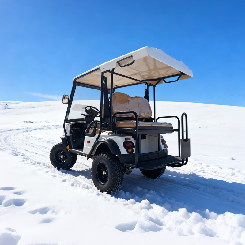 Wholesale Chinese 48V 2+2 Seat Off Road Golf Cart Manufacturer