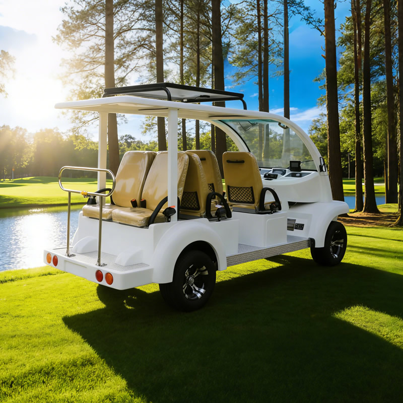 China Electric Golf Cart Manufacturer & Supplier - Custom Golf Carts for Sale