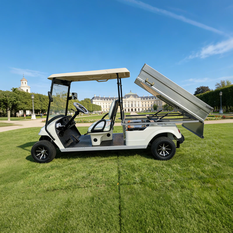 Golf Cart with Stainless steel Cargo Dump Bed
