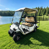 Premium 4-Seater Golf Cart - Factory Direct Supply