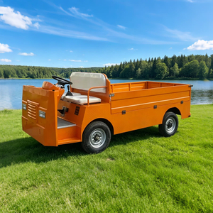 Factory customization 2 Seat Electric Cargo Trucks for Manufacturing Factory