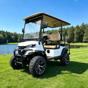 Luxury Lifted 4 Seater electric Golf Cart