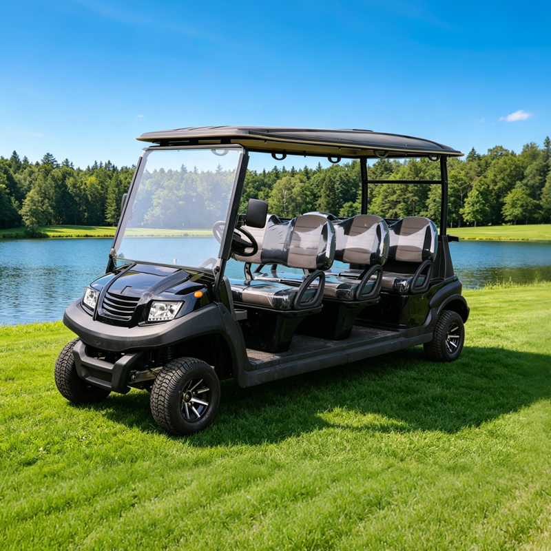 Top Manufacturer & Supplier of 6 Seater Golf Carts Prices- EG206AK