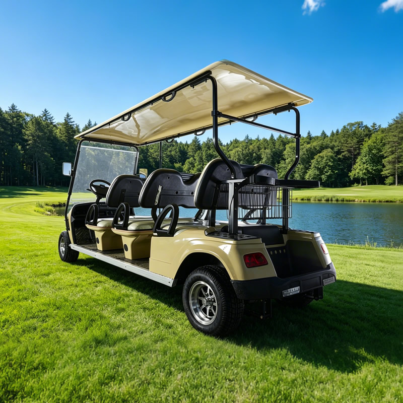 Custom Vehicle Sightseeing Bus Car 6 Passenger Person Seat Electric Golf Cart - Eagle Golf Cart