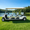 Sightseeing Vehicle 6 Passenger Person Seat Electric Buggy Golf Cart - Eagle Golf Cart