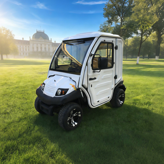 All-Weather Enclosed LSEV - Electric Patrol & Delivery Vehicle