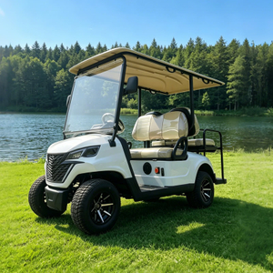 Luxury 4 Seater Golf Cart Electric - Eagle Golf Cart