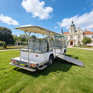 Factory Direct Electric Handicap Wheelchair Accessible Sightseeing Car with Foldable Ramp for Disabled & Elderly