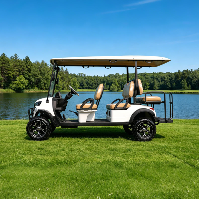 Wholesale Sightseeing Lifted 6 Seater Golf Cart Buggy for Hotels