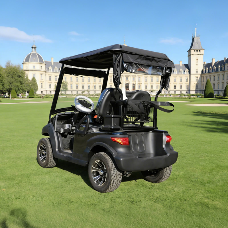 Custom Best 48V Mini Farm Electric Battery Lithium Golf Cart 