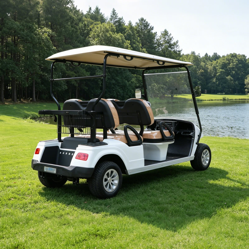 Custom High Quality Electric Lithium Battery Golf Cart for Sale - Eagle