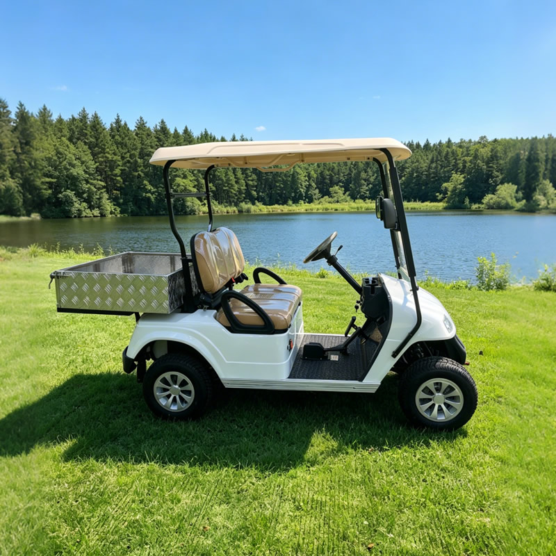 Golf Cart With Aluminum Cargo Box