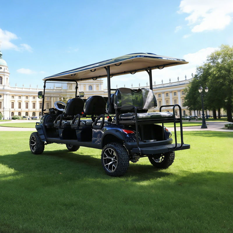 Custom Electric Lithium 6+2 8 Seater Passenger Golf Cart