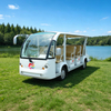 Custom Electric Sightseeing Bus & Shuttle Bus | Premium Electric Resort Vehicles 