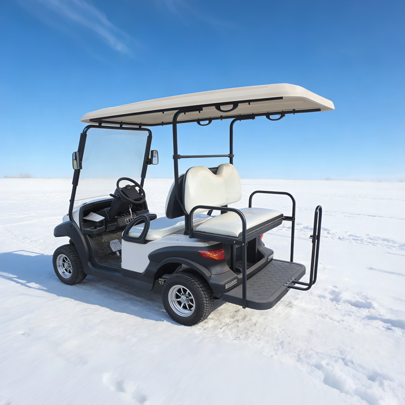 48v utility 2 + 2 4 seater golf carts - Eagle Golf Cart