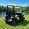 High Quality 2 Seater Mini Electric Battery Golf Cart - Eagle