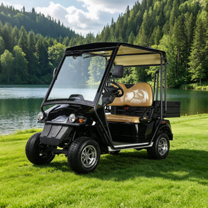 China Mini 2 Seater Electric Hunting Offroad Golf Off Road Buggy - Eagle Golf Cart