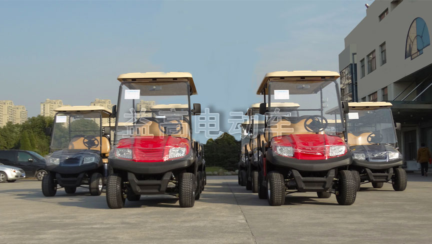 eagle electric golf cart