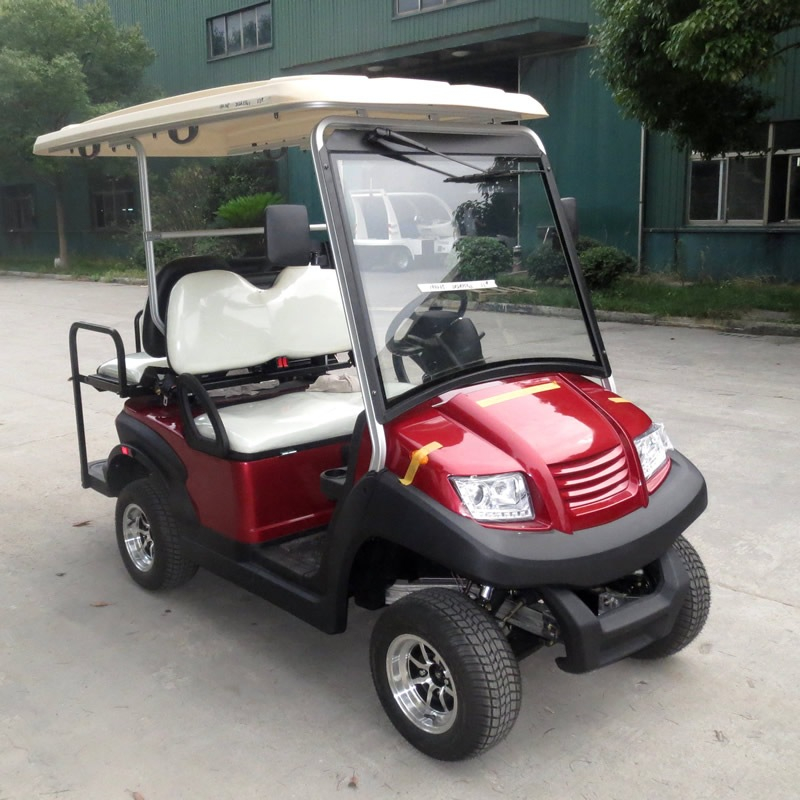 Best ev golf cart buggy - EG202AKSF