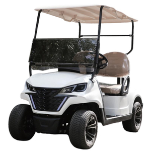 Chinese 2 seat electric mini golf cart - EG202EK